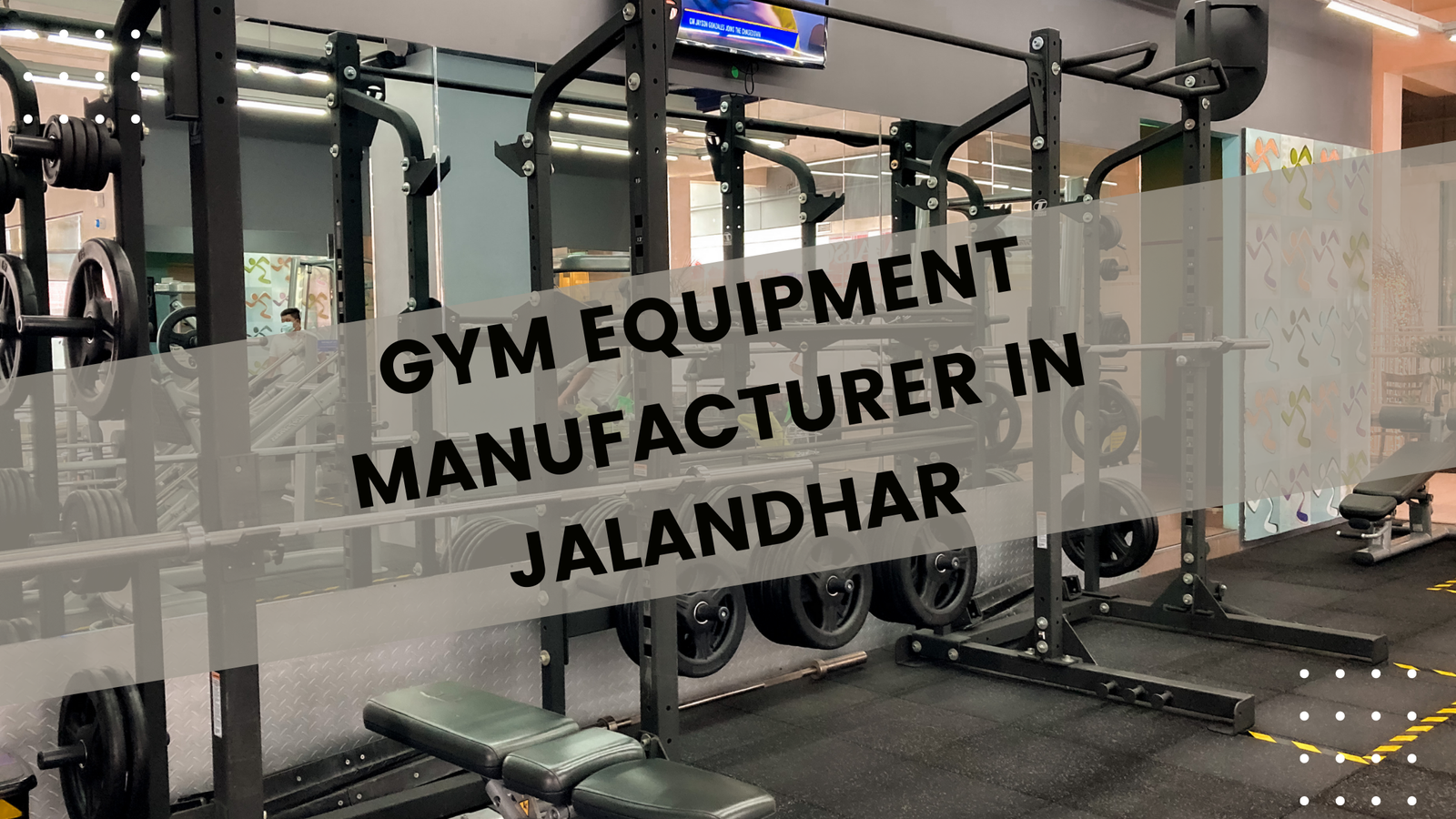 Gym Equipment Manufacturer in Jalandhar