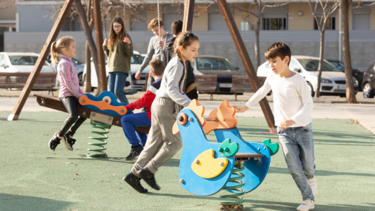 Playground Equipment for Kids with Special Education Needs