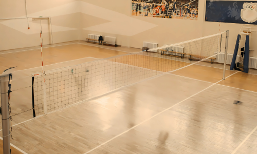 wooden flooring Volleyball_ (1)