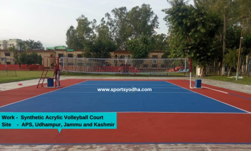 wooden flooring Volleyball_ (3)